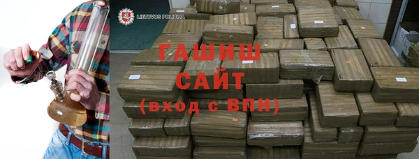 гидра Ельня
