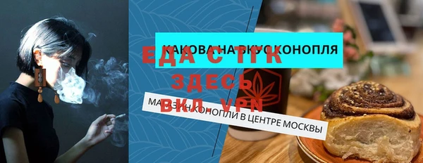 гидра Ельня