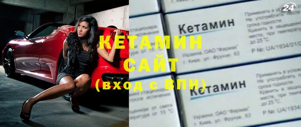 гидра Ельня