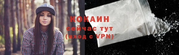 гидра Ельня