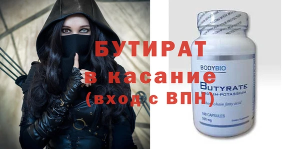 гидра Ельня