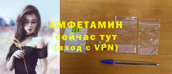 гидра Ельня