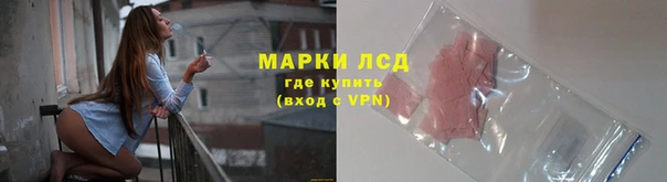 гидра Ельня