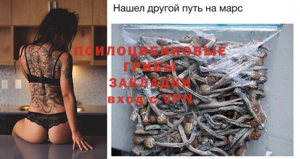 гидра Ельня