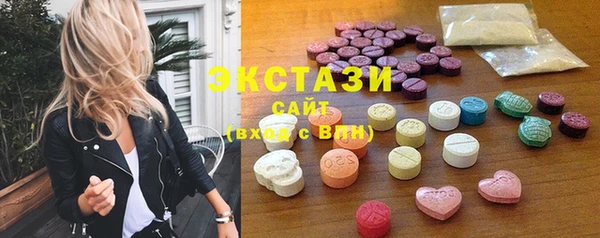 гидра Ельня