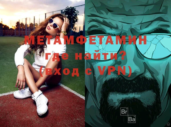 гидра Ельня
