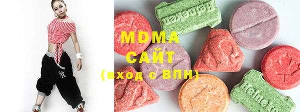 гидра Ельня