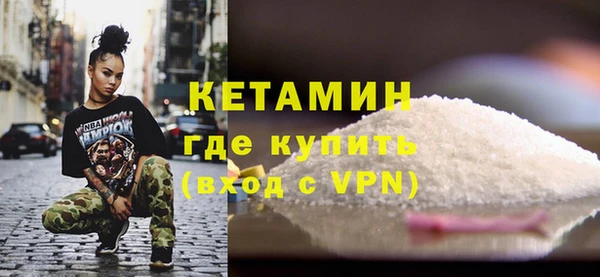 гидра Ельня