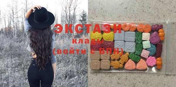 гидра Ельня