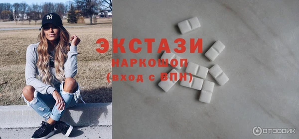 гидра Ельня