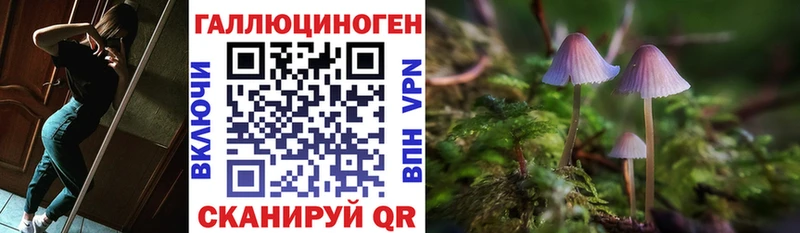 ссылка на мегу ONION Камень-на-Оби Псилоцибиновые грибы Cubensis